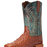 A Look at Ostrich Western Boots