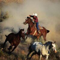 Texas Hill Country – Edwards Plateau