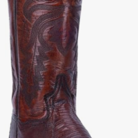 Dan Post Men’s Winston Lizard Boots