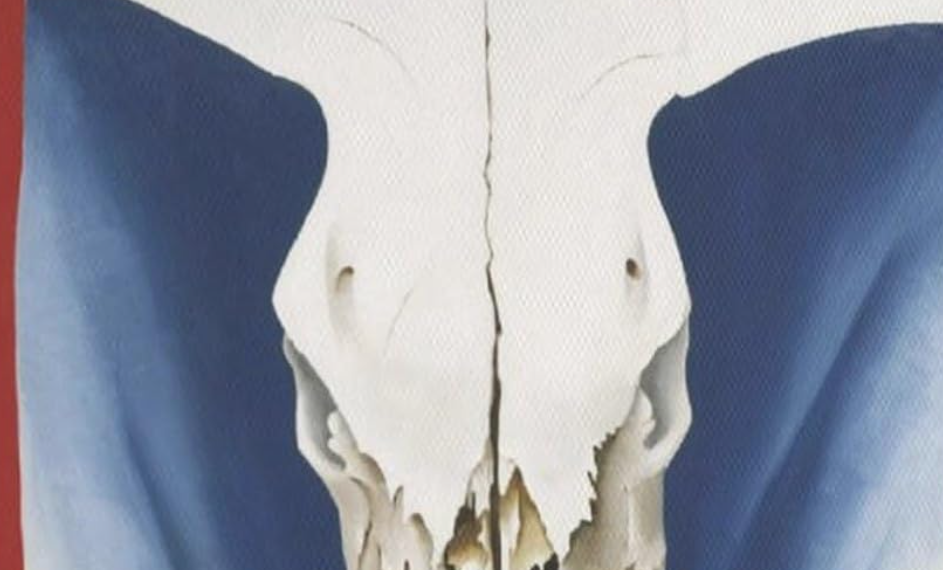 georgia o'keeffe cow's skull