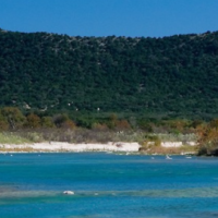 The Nueces River: A Texas Treasure