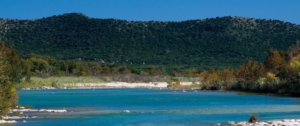 nueces